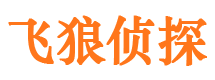 郴州市私人侦探